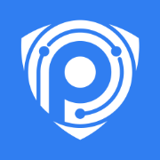 Логотип Paranoid Security